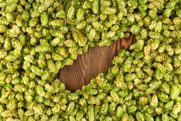 Green Cones Hops Rustic Aged Wooden Table Copy Space Brewery — Stockfoto
