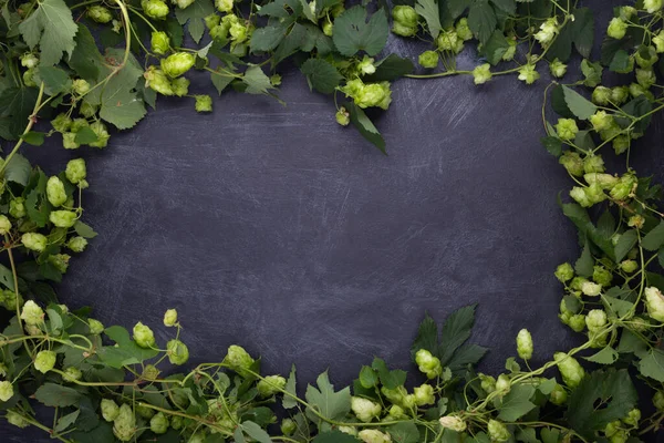 Frame Green Hops Rustic Blue Cement Background Copy Space — Stockfoto