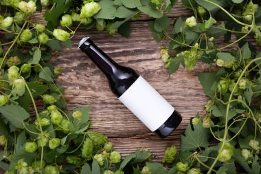 Beer bottle lies on wooden background with hop cones, close up. White label mock up