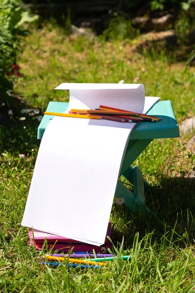 Çizim defterini aç, renkli kalemler ve açık havada yeşil çimlere çizmek için katlanır bir sandalye yaz parkında dikey