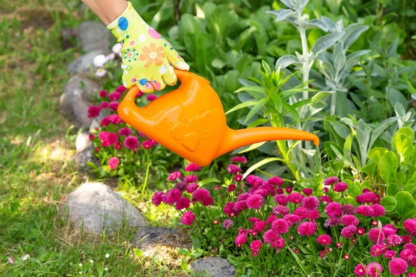 Eldiven giymiş bir insan eli çiçek bahçesinde bir sulama kutusu tutuyor.