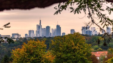 Şehrin kıyısındaki bir parktan büyük Mainhatten Skyline 'ın görüntüsü