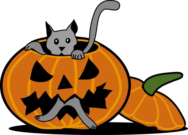 Cadılar Bayramı kedi