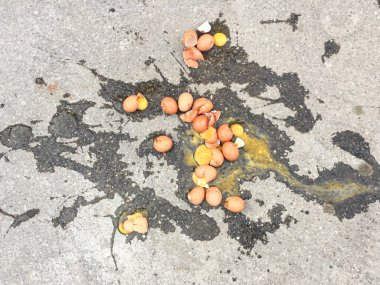 Asfalt kaldırımda kırılmış yumurtalar. 