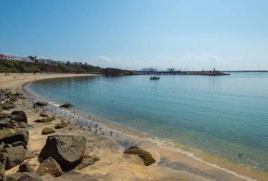 Taşları, plajı ve dinlenen martı sürüsüyle Atlantik kıyısında. Portekiz