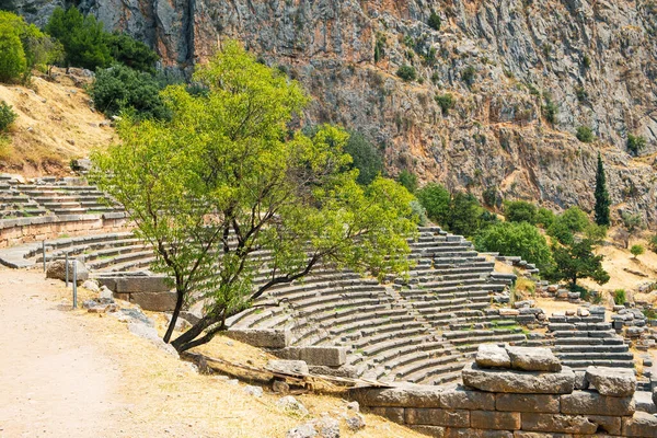 希腊德尔斐考古遗址古代圆形剧场背景下的橄榄树 — 图库照片