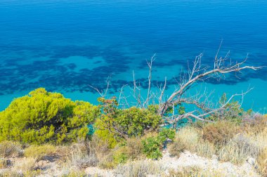 Yunanistan 'da açık mavi bir günde güneşli bir sahilde yeşil ve ölü ağaçlar. Egremni sahilinin turkuaz suyu ve açık mavi gökyüzü, Lefkada adası, İyon Denizi kıyısı