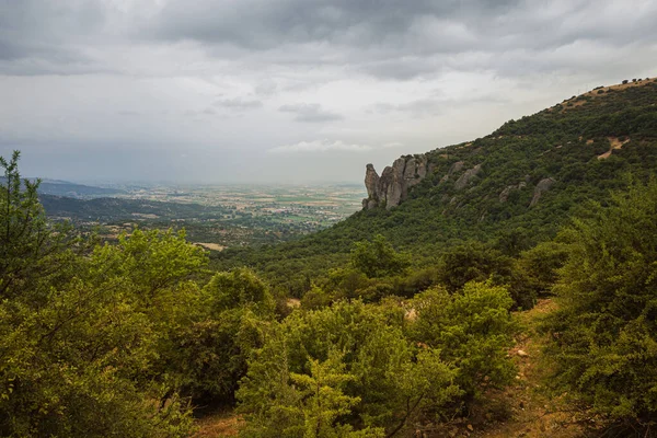 Alberi Decidui Verdi Montagna Grecia — Foto Stock