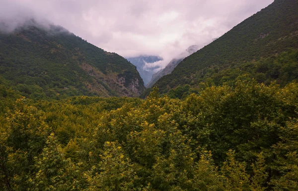 Panoramic Views Deciduous Forest Mountains Greece — Foto de Stock
