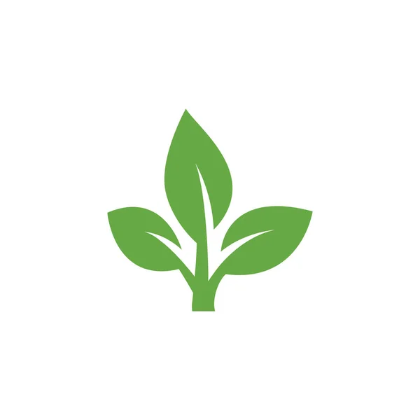Yeşil Yapraklı Ekoloji Doğa Element Vektör Simgesi Yaprak Simgesi Yeşil — Stok Vektör