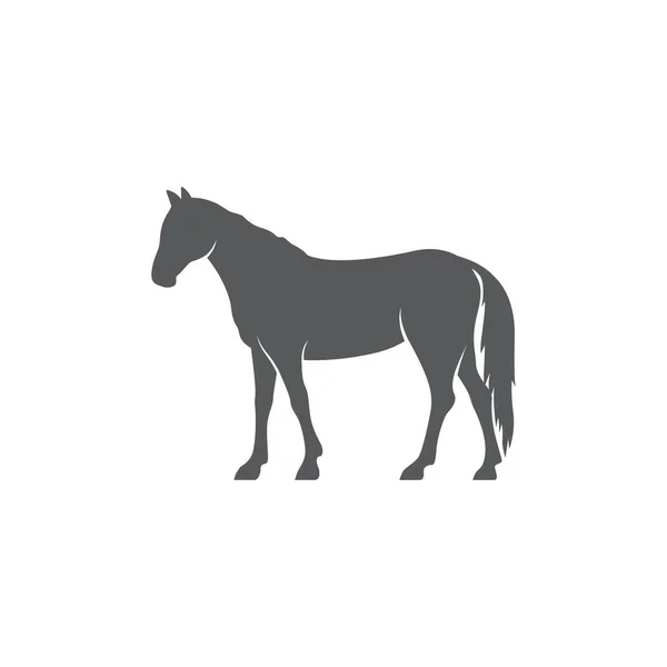 Horse Realistic Silhouette Logo Design Horse Pictogram Side View Horse — Vetor de Stock