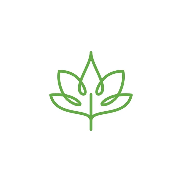 Linear Lotus Logo Templates Vector Floral Linear Lotus Logo Design —  Vetores de Stock