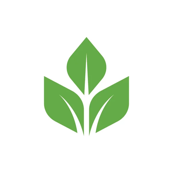 Зелене Листя Екології Природний Елемент Векторна Ікона Листяна Ікона Зелене — стоковий вектор