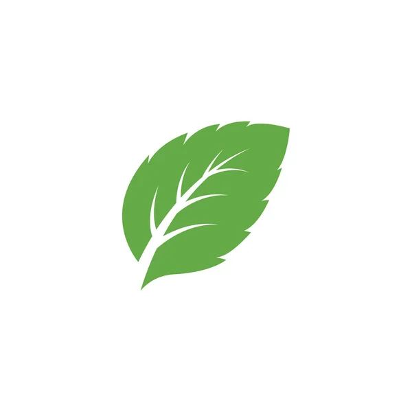 Green Mint Leaves Ecology Nature Element Vector Icon Leaf Icon — Stock Vector