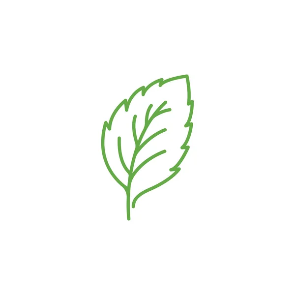 Green Mint Leaves Ecology Nature Linear Element Vector Icon Leaf — Stock Vector