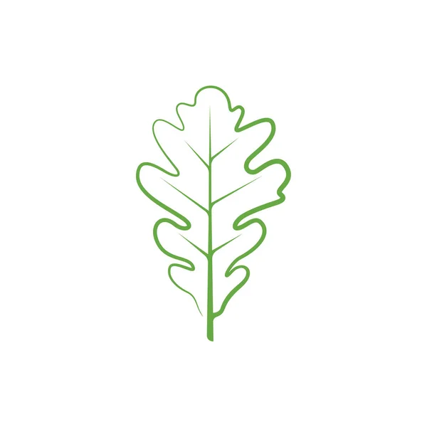 Oak Leaf Linear Logo Design Template Oak Leaf Pictogram Vector — Archivo Imágenes Vectoriales