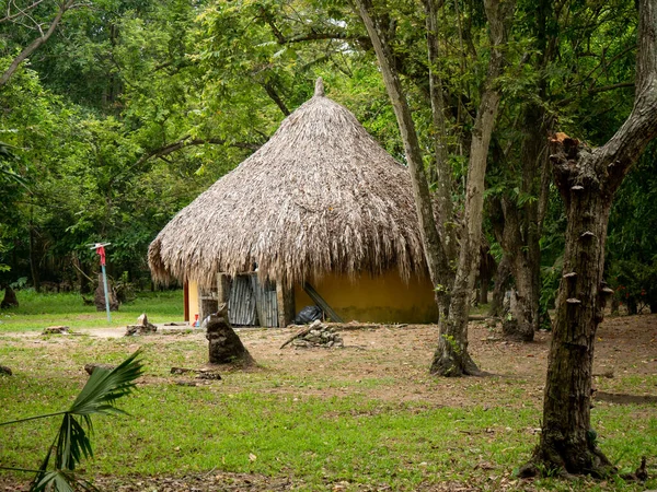 Cabane Toit Banane Sèche Entourée Arbres Dans Tayrona Park Colombie — Photo