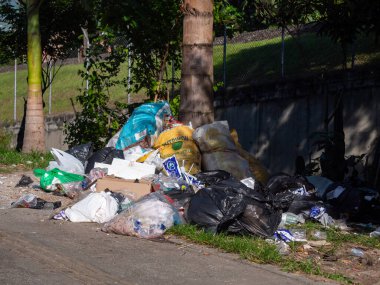 Hurma ağacında birikmiş çöp poşetleri, Toplama Kamyonu tarafından alınmak üzere toplandı.