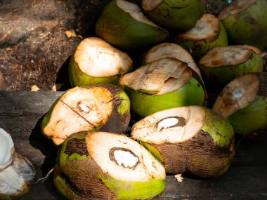 Tayrona Parkı, Kolombiya 'da Yeşil Hindistan cevizleri ikiye bölündü.