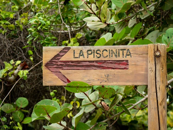 哥伦比亚Tayrona公园一只名为 小池塘海滩 的红箭的象征 — 图库照片