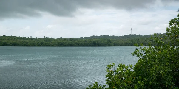 Jezioro Dzień Chmury Parku Narodowym Old Point Mangrove San Andres — Zdjęcie stockowe