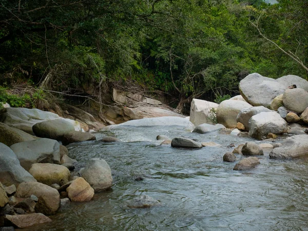 Багато Рослинності Рослин Скель Біля Водоспадів Ціснеросі Антіокія Колумбія — стокове фото