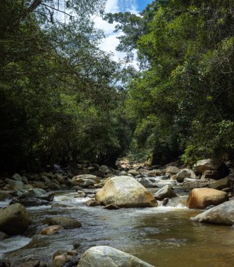 Cisneros, Antioquia, Kolombiya 'daki birçok kaya, bitki ve ağaçla çevrili bir nehir.