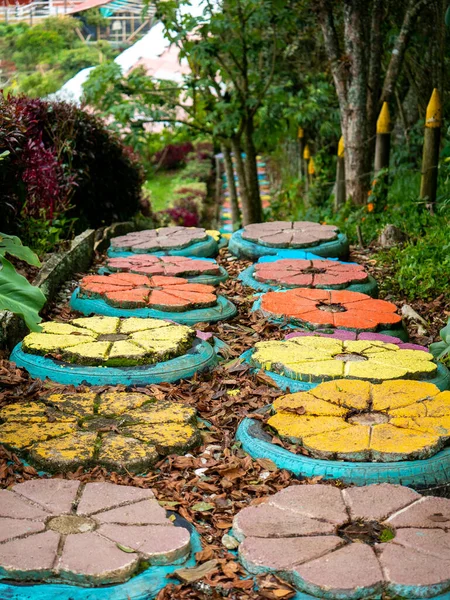 Road Cement Flowers Different Colors Made Tires — Stok fotoğraf