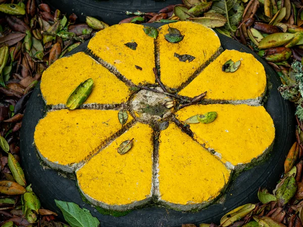 Жовта Квітка Цементу Зроблена Шиною — стокове фото