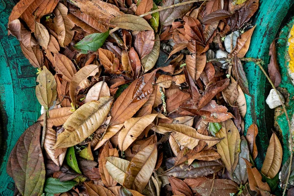 Brown Orange Dry Leaves Ground Middle Painted Tires — Stok fotoğraf