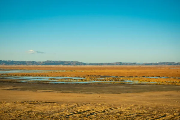 Пейзаж Полностью Сухой Желтой Зимней Почвы Контрасте Красивым Чистым Голубым — стоковое фото