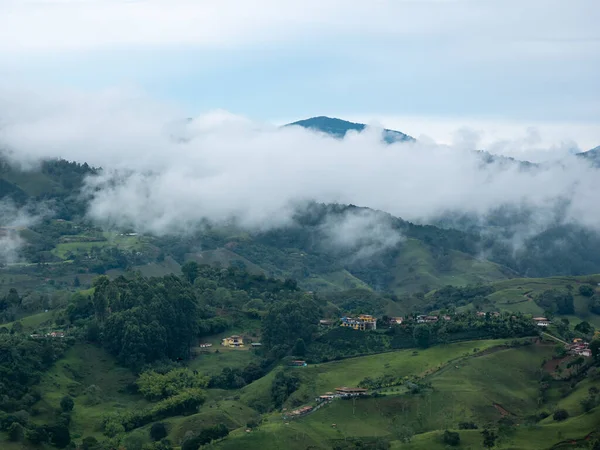Zielone Góry Pełne Drzew Warzyw Pośród Mgły Schodzącej Nieba — Zdjęcie stockowe