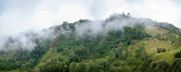 Зеленые Горы Полные Деревьев Растительности Посреди Тумана Спускающегося Неба — стоковое фото