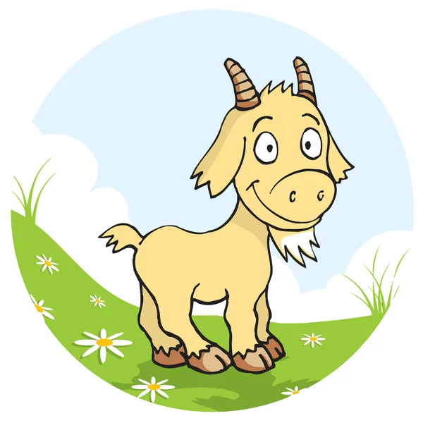 Koza a travnaté hřiště — Stockový vektor