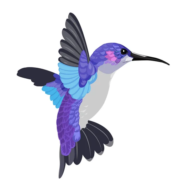 Färgglada Colibri Isolerad Vitt Flygande Nynnande Fågel Vektor Illustration Design — Stock vektor