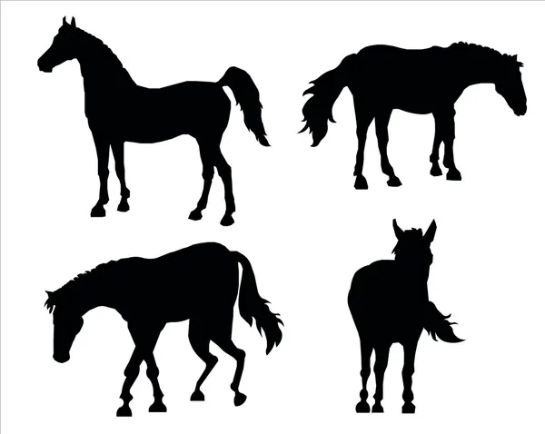 Silhouettes de chevaux — Image vectorielle