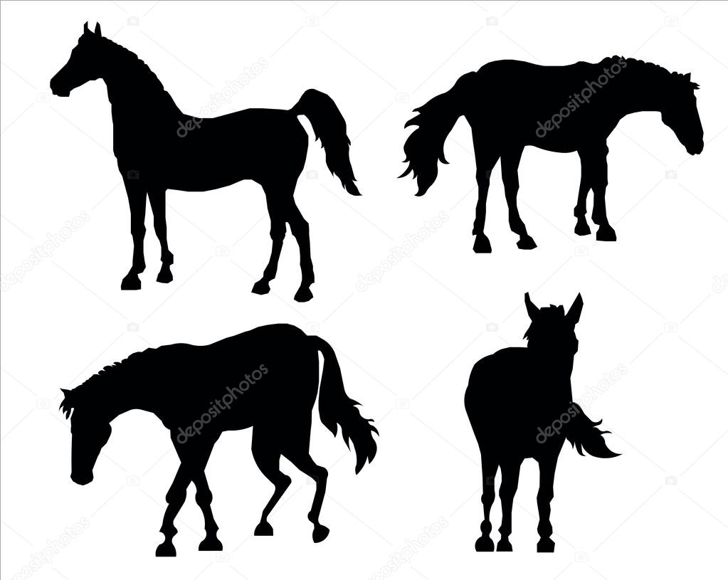 Silhouettes of horses