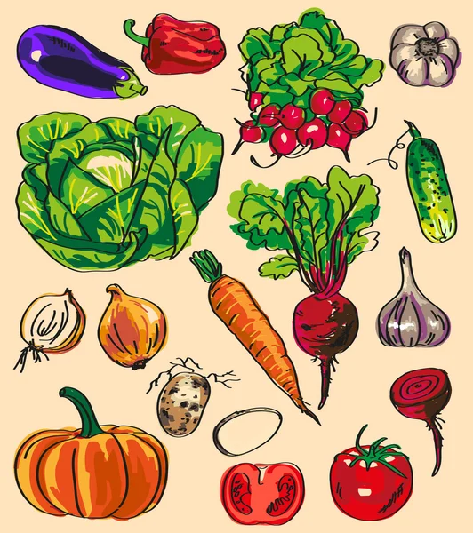 Vegetables — Stock Vector