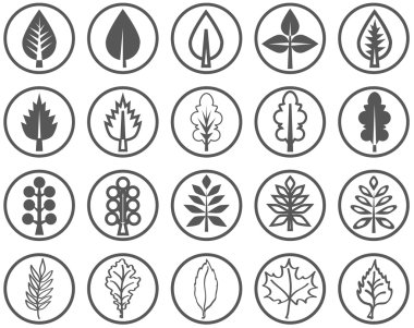 ağacın yaprakları