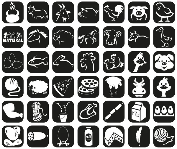 Icônes animaux et produits — Image vectorielle