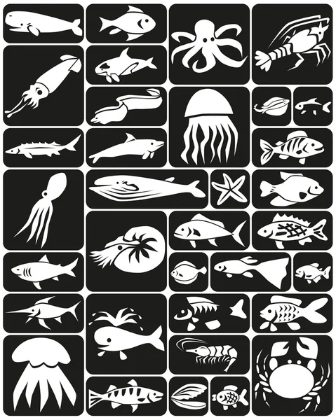 Animales marinos — Vector de stock