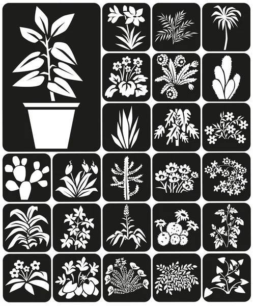 Plantas domésticas — Archivo Imágenes Vectoriales