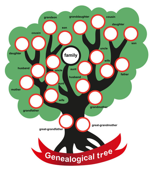 genealogical tree