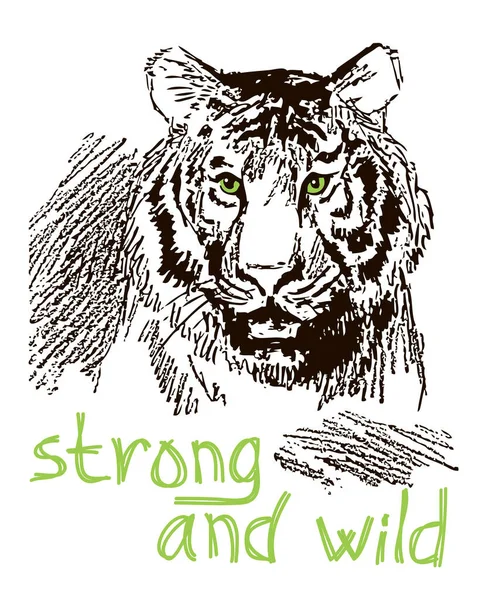 黒ストロークの虎と碑文のスケッチ 白の背景に強いと野生 — ストックベクタ