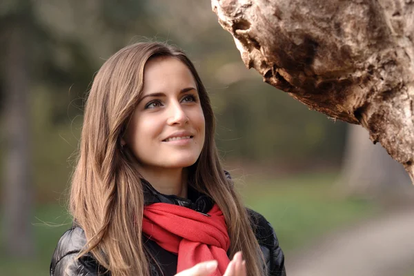 Junge schöne Mädchen in einem Baum 2 — Stockfoto