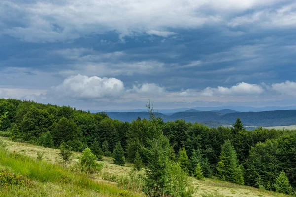 Karpat Dağları manzarası. Dağın tepesinde panoramik manzara