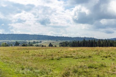 Karpatlar 'da bir dağ çayırı. Vadileri ve çimenli tepeleri olan yaz manzarası. Parlak mavi gökyüzünde kabarık bulutlar. Doğa tazeliği kavramı
