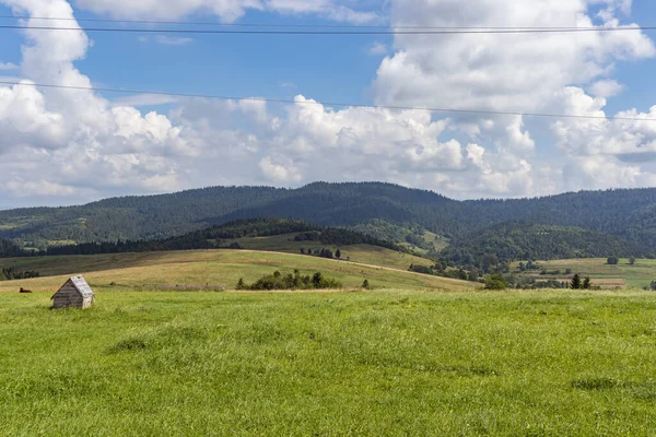 カルパティアの山の牧草地 谷や芝生の丘と田舎の夏の風景 明るい青空にふわふわの雲 自然の新鮮さコンセプト — ストック写真