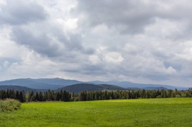 Karpatlar 'da bir dağ çayırı. Vadileri ve çimenli tepeleri olan yaz manzarası. Parlak mavi gökyüzünde kabarık bulutlar. Doğa tazeliği kavramı