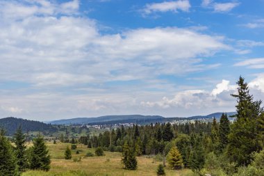 Karpatlar 'da bir dağ çayırı. Vadileri ve çimenli tepeleri olan yaz manzarası. Parlak mavi gökyüzünde kabarık bulutlar. Doğa tazeliği kavramı